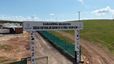Karaköprü Belediyesi, Sokak Hayvanlarının Sağlığını Güvence Altına Alıyor