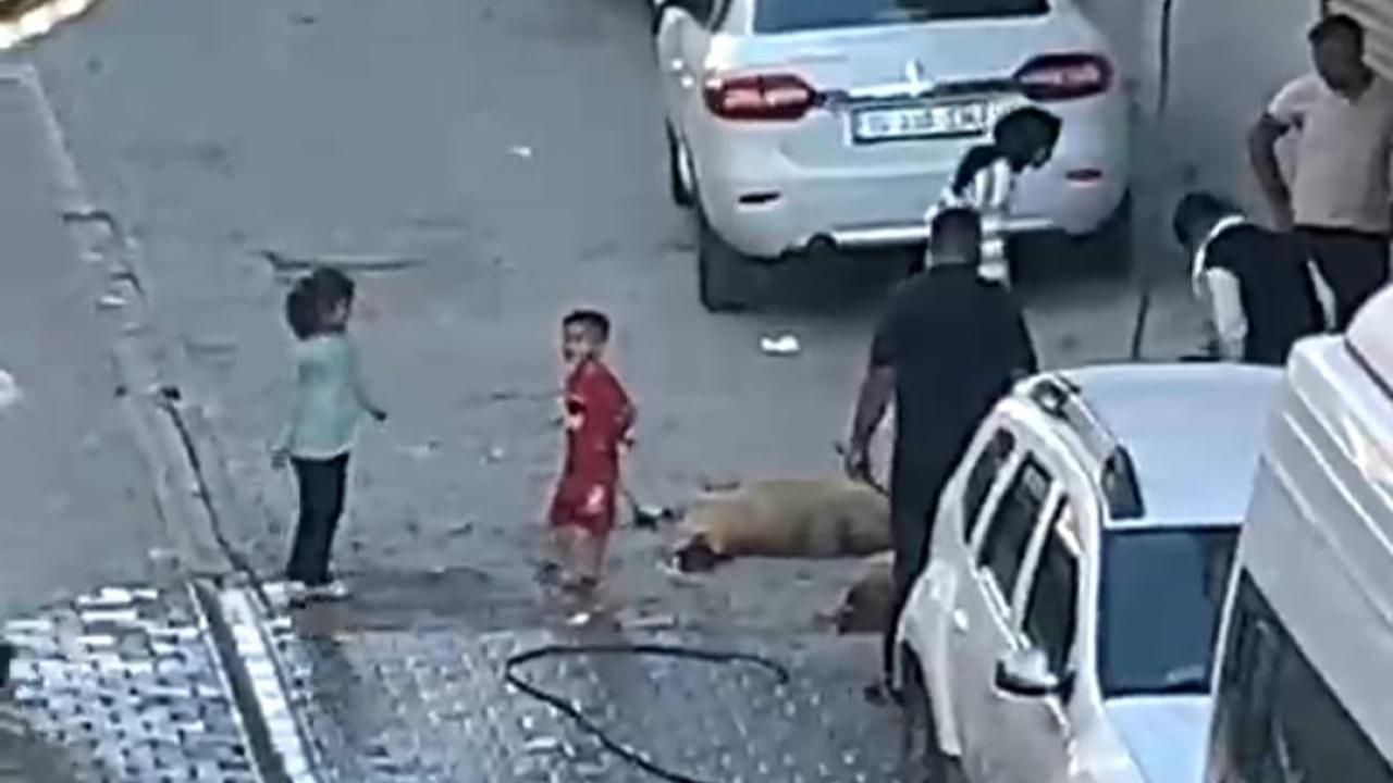 Eyyübiye’de Yasak Dinlenmedi: Mahalle Sokakları Kana Bulandı