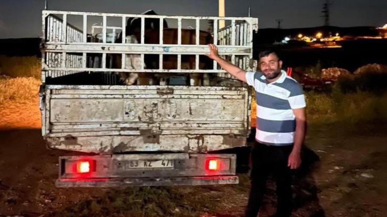 Urfa'da kaybolan büyükbaş hayvanlar bulundu