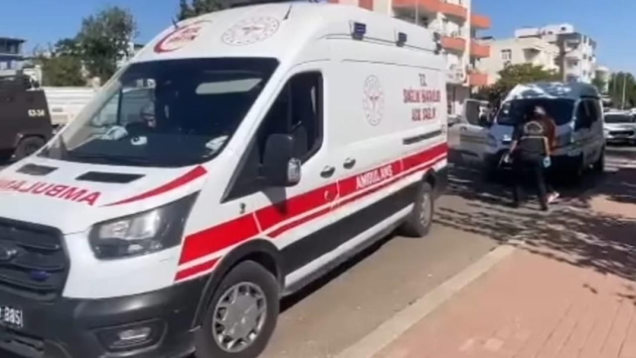 Urfa’da Yılan Avı Kabusa Döndü: 5 Yaralı