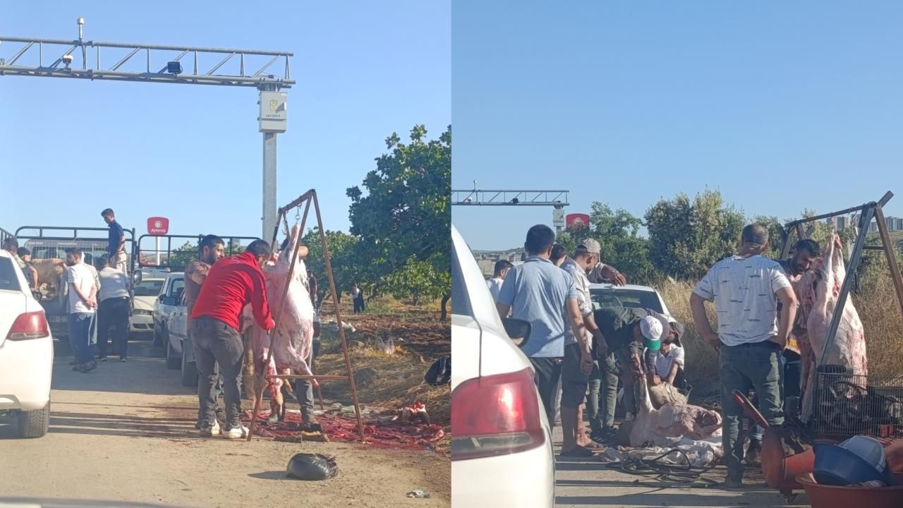 Urfa'da Yol Kenarındaki Kesimler Tepki Çekiyor