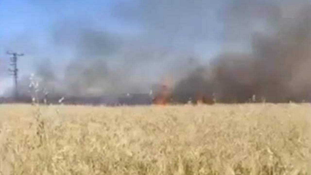 Urfa’da 50 Dönümlük Alan Alevlere Teslim Oldu!