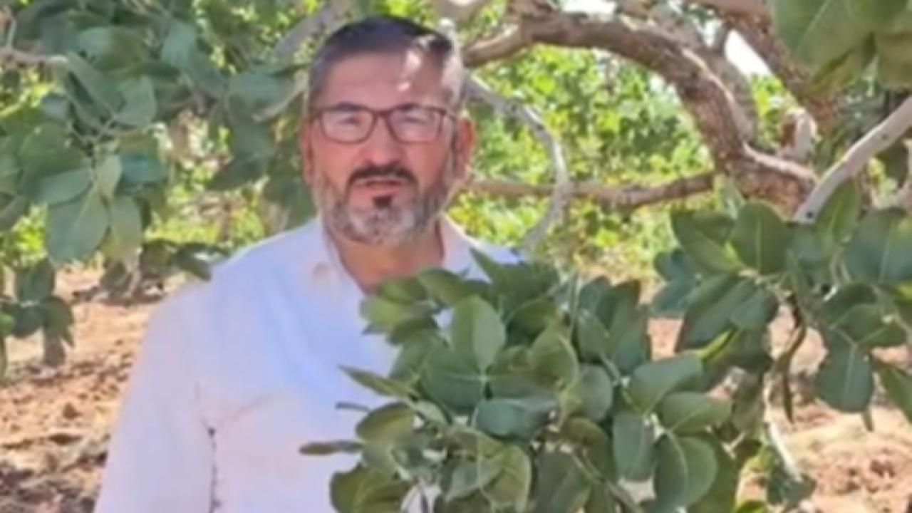 Şanlıurfa'da Fıstık Üreticilerinin İthalat İsyanı
