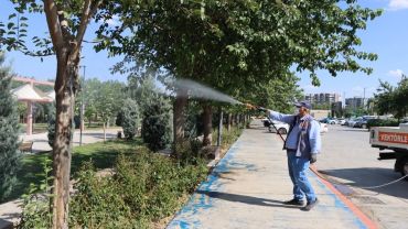 Şanlıurfa'da İlaçlama Seferberliği
